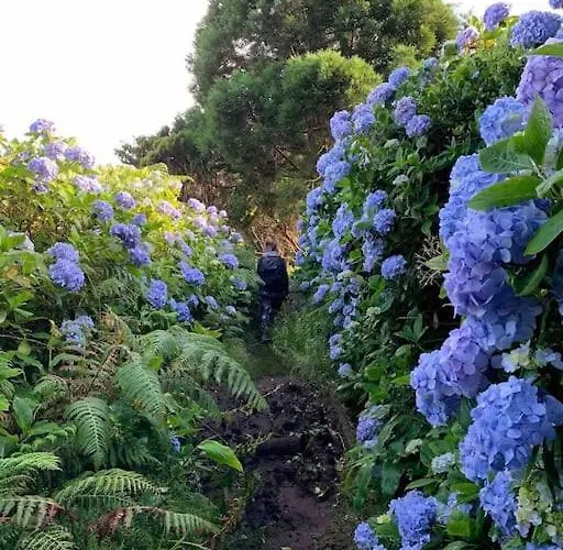 Nyaraló Casa Amarela Al 3030
