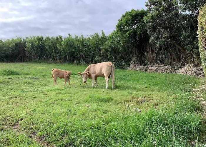Casa Amarela Al 3030 Nyaraló *