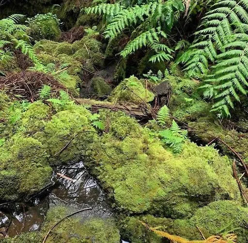 Casa Amarela Al 3030 Horta
