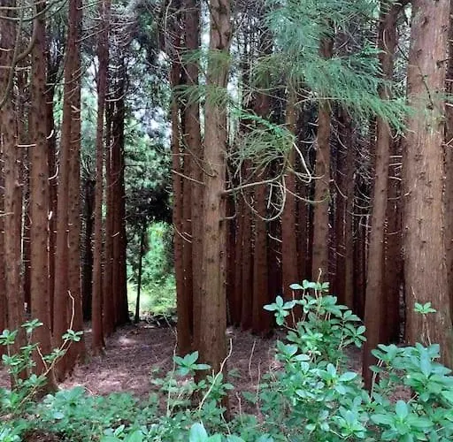 Casa Amarela Al 3030 Nyaraló Horta