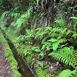 Holiday home Casa Amarela Al 3030 Horta (Azores)
