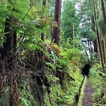 Casa Amarela Al 3030 Horta (Azores)