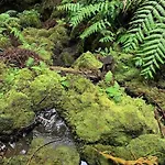 Casa Amarela Al 3030 Horta (Azores)