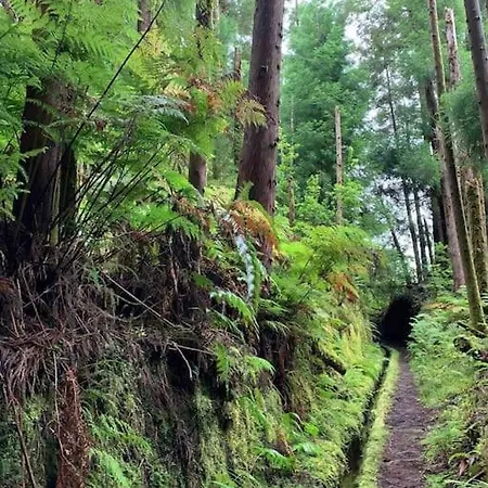 Casa Amarela Al 3030 Horta (Azores)