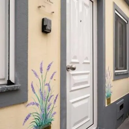 Casa Amarela Al 3030 Holiday home *