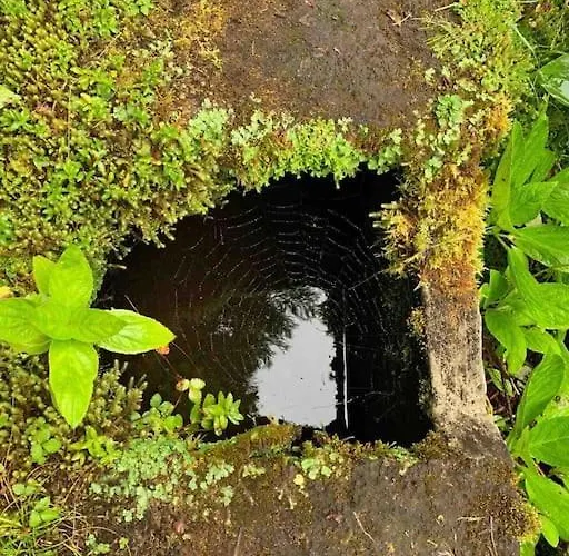 Prázdninový dům Casa Amarela Al 3030 *