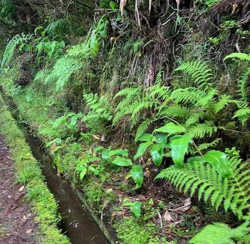 Prázdninový dům Casa Amarela Al 3030 Horta (Azores)