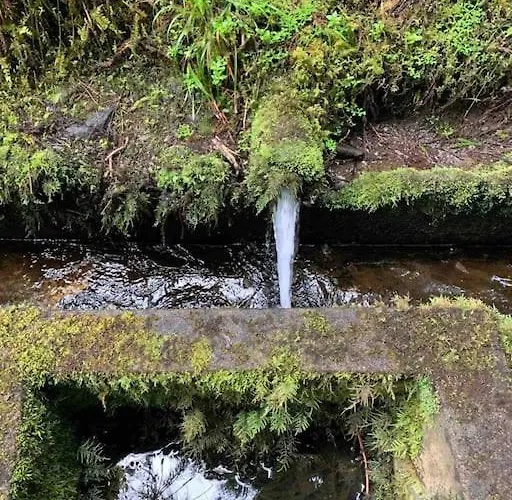 Casa Amarela Al 3030 Prázdninový dům Horta (Azores)