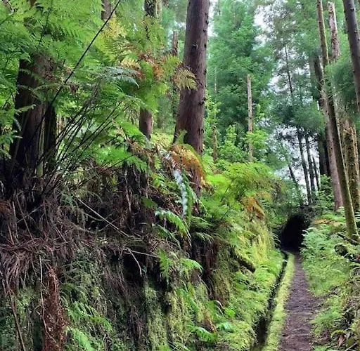 Casa Amarela Al 3030 Horta (Azores)